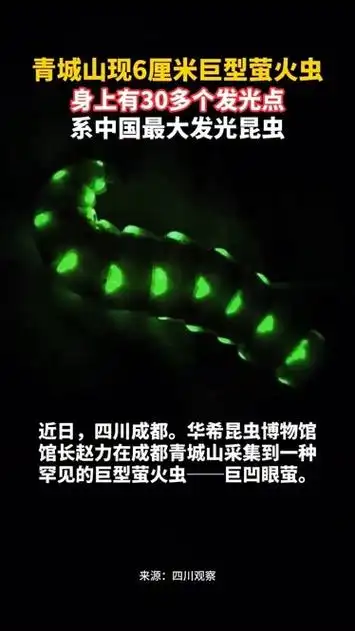 青城山萤火虫奇观惊现DOTA2战场？7.33e版本暗夜猎手大加强预测
